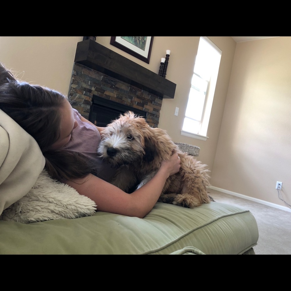 Meet your Posher, Ailey